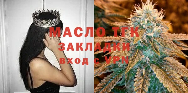 хмурый Гусь-Хрустальный