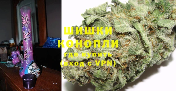хмурый Гусь-Хрустальный