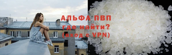 хмурый Гусь-Хрустальный