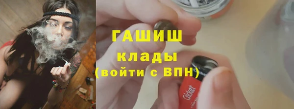 хмурый Гусь-Хрустальный