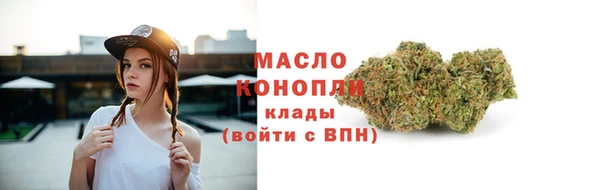 хмурый Гусь-Хрустальный