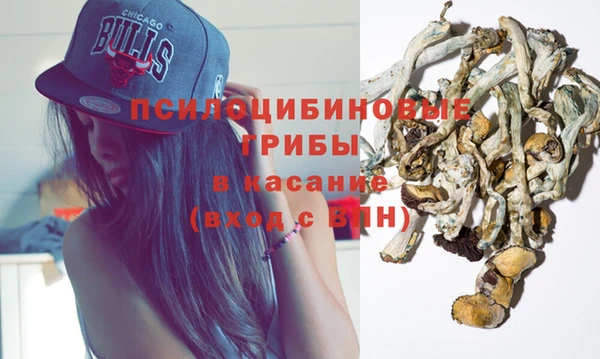 прущие грибы Дмитриев