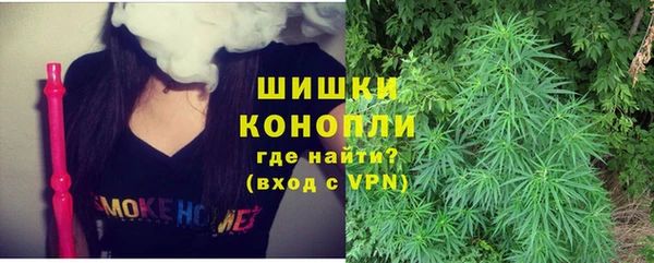 хмурый Гусь-Хрустальный