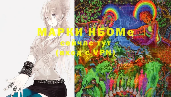 прущие грибы Дмитриев