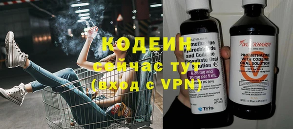 хмурый Гусь-Хрустальный