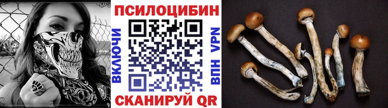 Галлюциногенные грибы мухоморы Кяхта