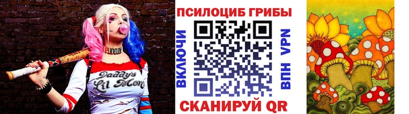 Галлюциногенные грибы Psilocybine cubensis  Купить  Кяхта 